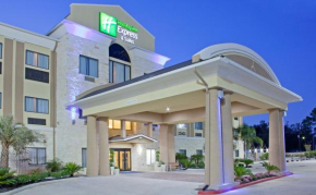 Гостиница Holiday Inn Express Hotel & Suites Beaumont Northwest, an IHG Hotel  Бомонт